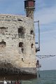 (67) Forts Enet - Boyard - Ile Aix